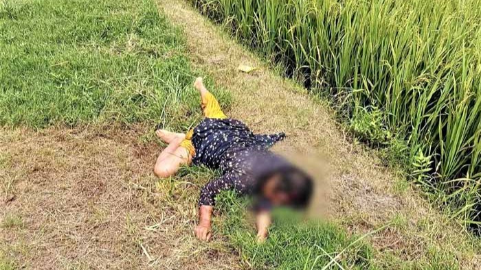 ধানক্ষেত থেকে নারীর রক্তাক্ত মরদেহ উদ্ধার