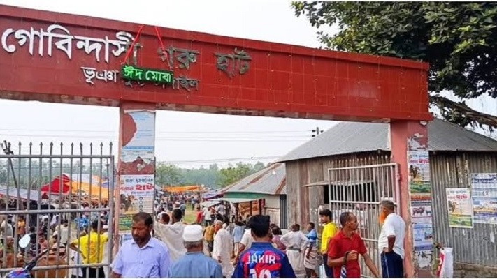 শেষ মুহূর্তে জমে উঠেছে টাঙ্গাইলের বৃহত্তর গোবিন্দাসী গরুর হাট