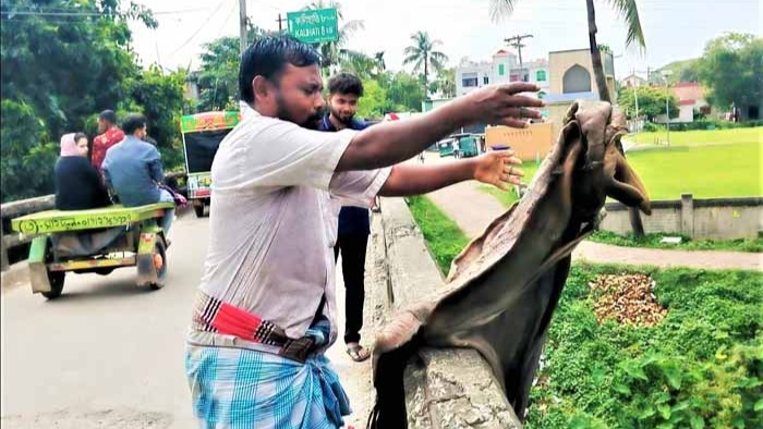 টাঙ্গাইলে নদীতে ফেলা হলো কোরবানির চামড়া