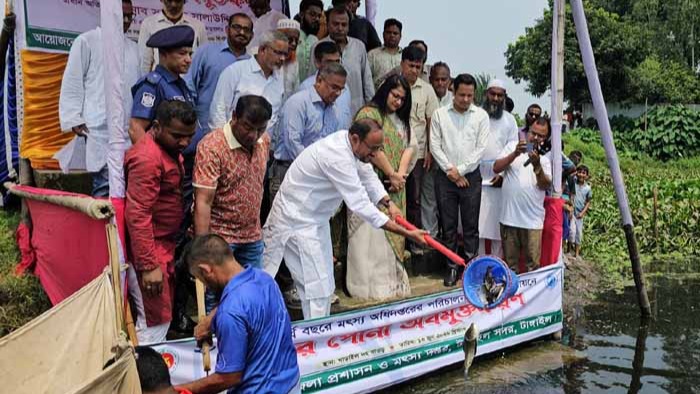 গাড়াইলদহ বাওড়ে মাছের পোনা অবমুক্তকরণ