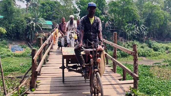 ২০ গ্রামের মানুষের ভরসা নড়বড়ে কাঠের সাঁকো