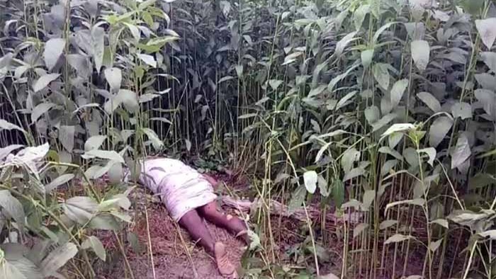 নাগরপুরে পাটক্ষেত থেকে অর্ধগলিত মরদেহ উদ্ধার