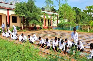 মহিষমারা কলেজে খুন্তি-কোদালে তরুণদের নতুন বিপ্লব!