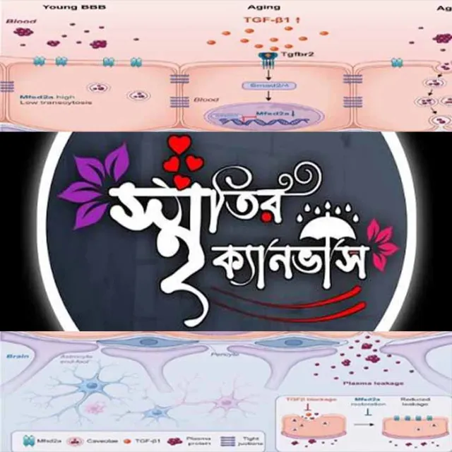 স্মৃতির ক্যানভাসে বিস্মৃতির দাগ
