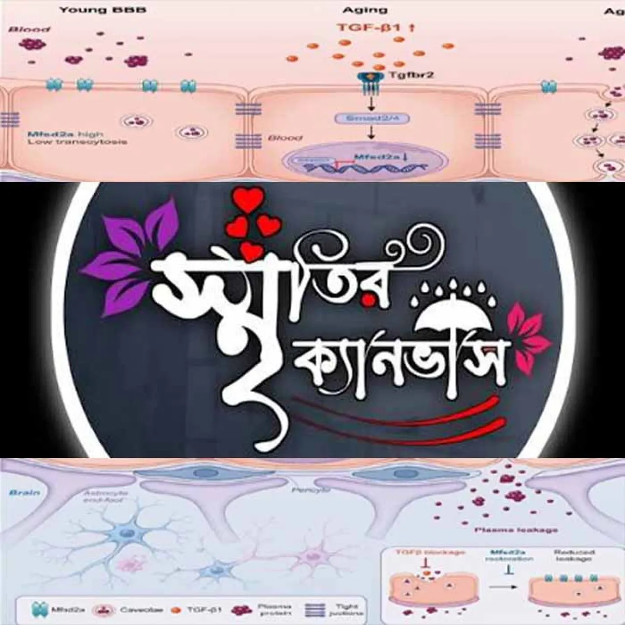 স্মৃতির ক্যানভাসে বিস্মৃতির দাগ