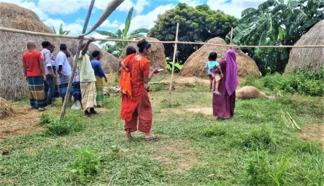 বাসাইলে মাংস বিক্রির উদ্দেশ্যে পরিত্যক্ত বাড়িতে ১০ ঘোড়া জবাই 