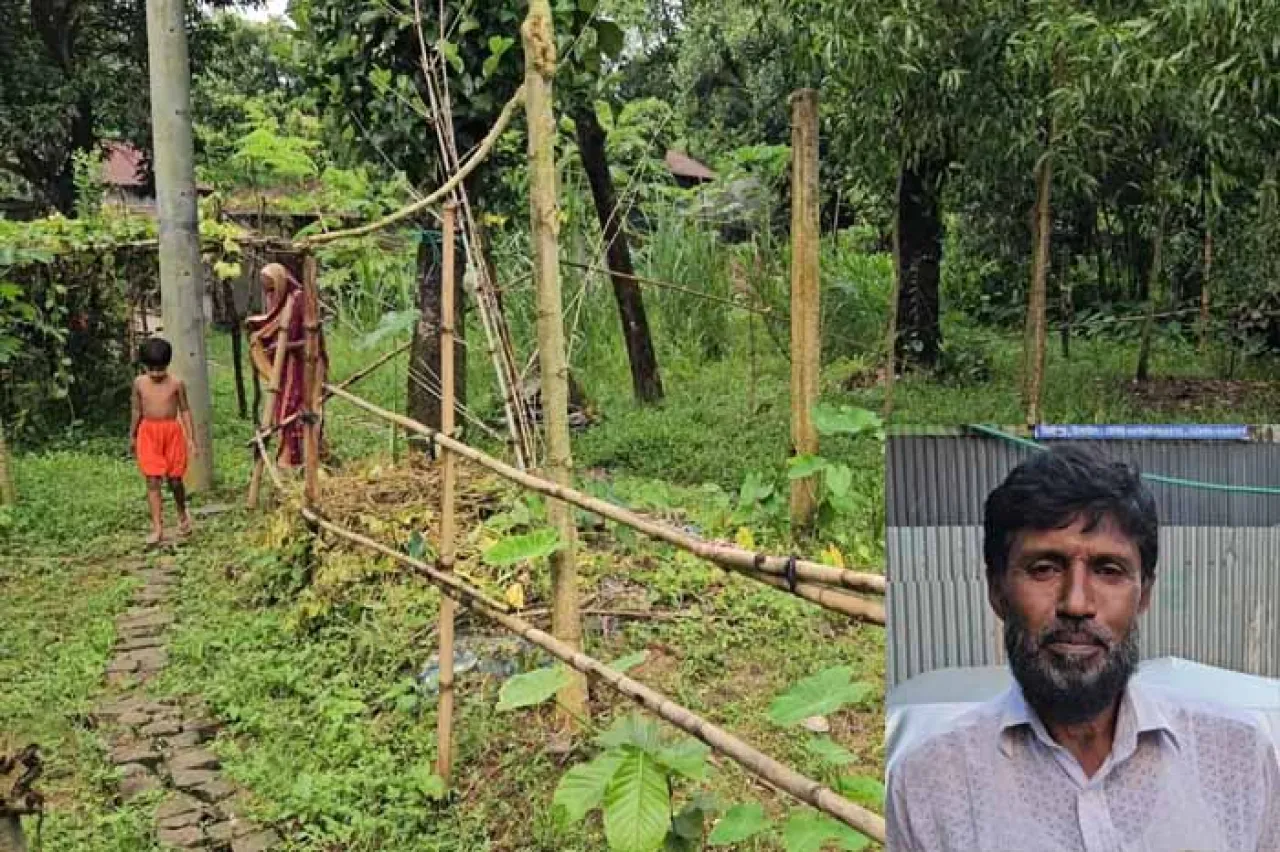 মির্জাপুরে পৈতৃক জমি বনাম দখলের লড়াই