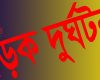 মির্জাপুরে বাসচাপায় পথচারী নিহত