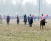নির্বাচন পর্যন্ত বিএনপি আন্দোলন আন্দোলন খেলা করবে :: কৃষিমন্ত্রী