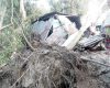 কালিহাতীতে ঝড়ে ১০টি ঘর-বাড়ি বিধ্বস্ত ॥ গাছ পড়ে রেমিটেন্স যোদ্ধা নিহত