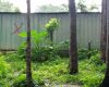 টাঙ্গাইলে সরকারি ভূমির অবৈধ স্থাপনা উচ্ছেদের দাবি